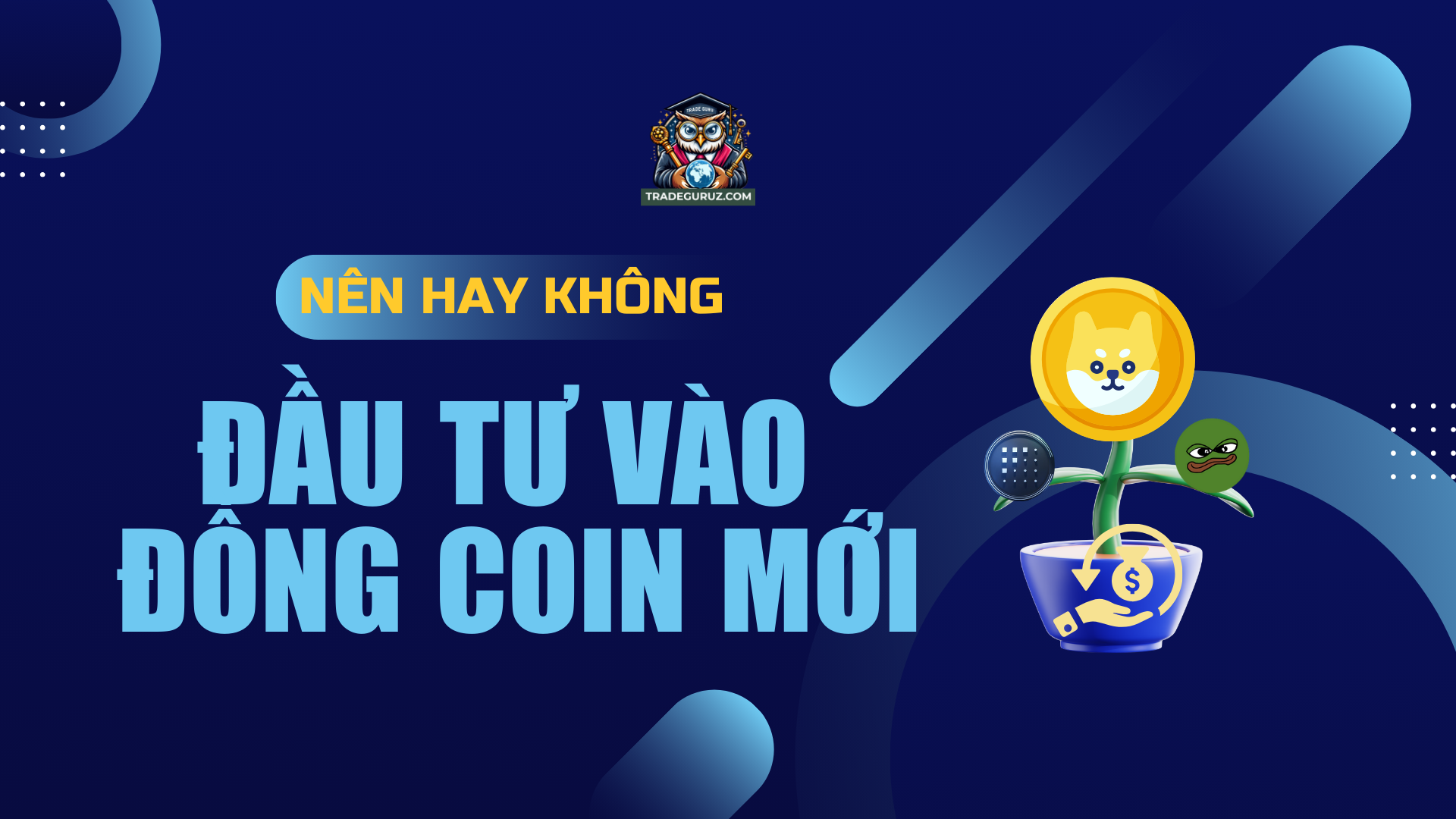 Nên hay không đầu tư vào các đồng coin mới
